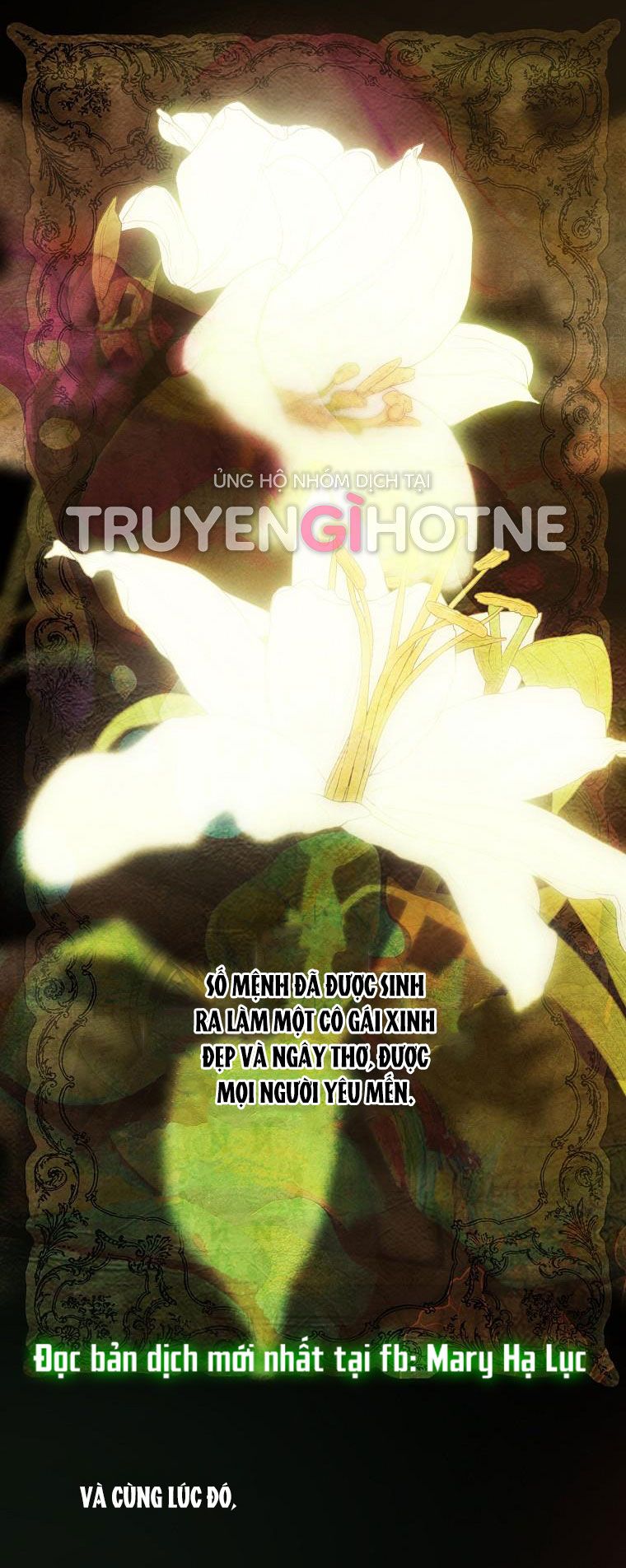 đọc truyện Quý Cô Bí Ẩn - Secret Lady Chương 1.1 ảnh 18 tại Giả Dược
