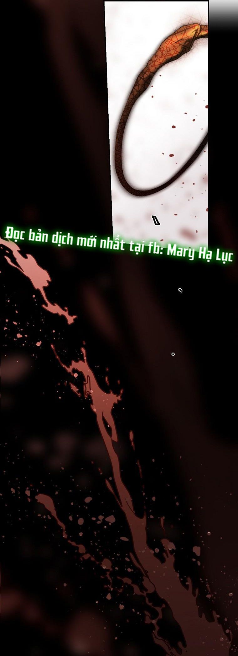 đọc truyện Quý Cô Bí Ẩn - Secret Lady Chương 66.1 ảnh 4 tại Giả Dược
