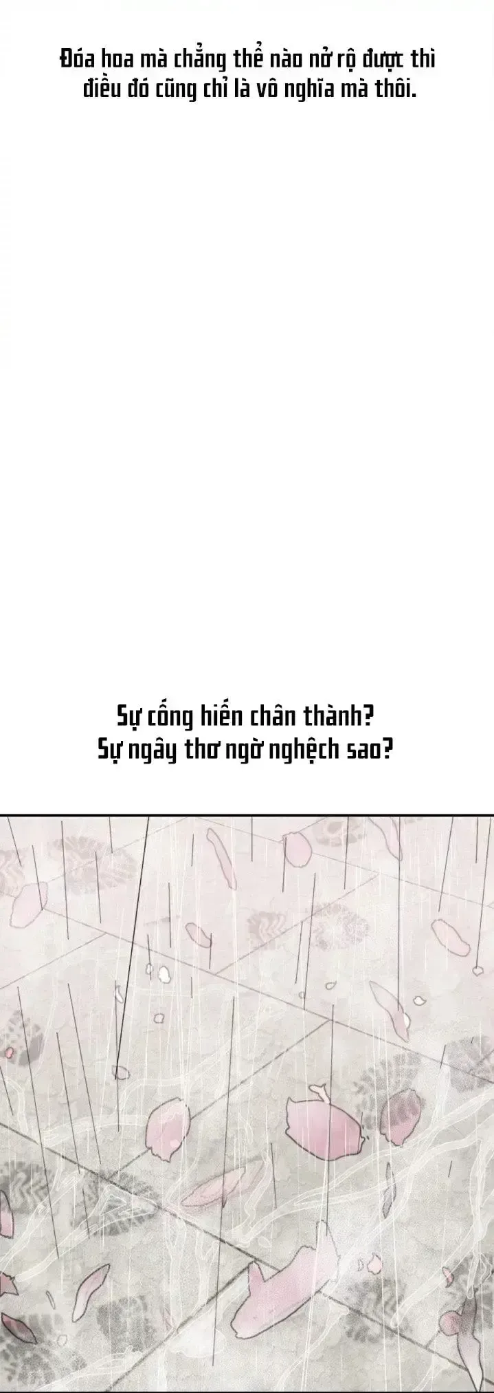 đọc truyện Quý Cô Của Tôi Chương 1 ảnh 67 tại Thiên Thai Truyện