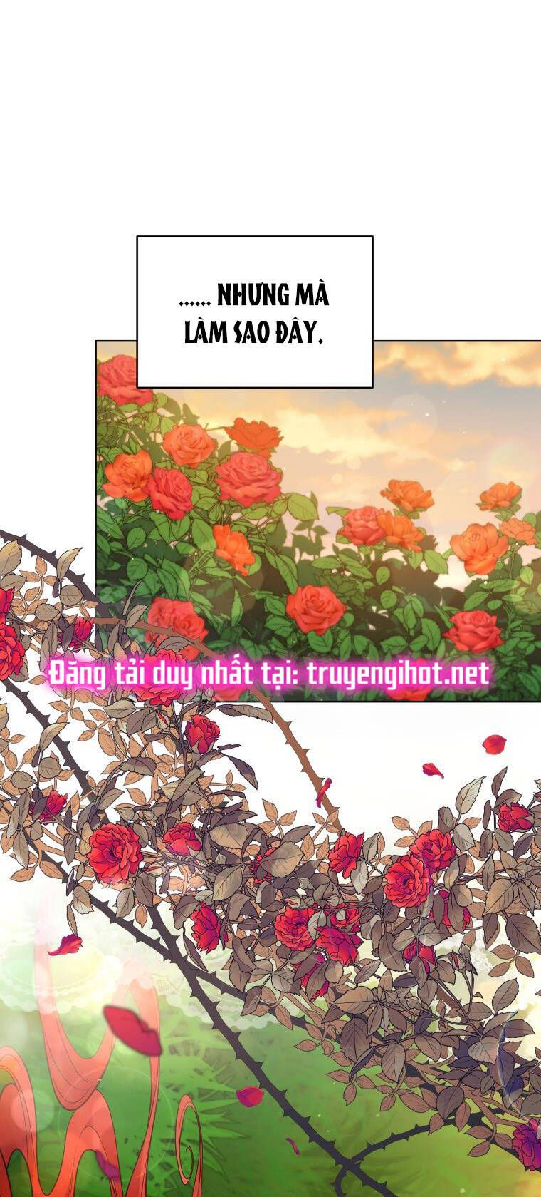 đọc truyện Quý Cô Khó Gần Chương 66 ảnh 66 tại Giả Dược