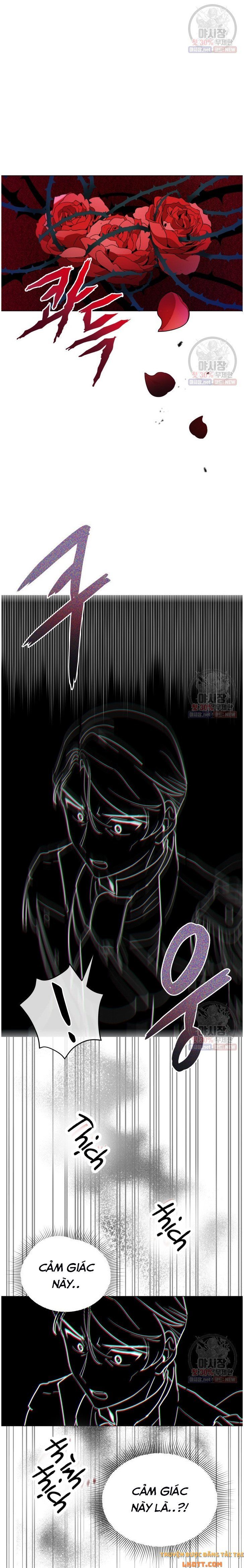 đọc truyện Quý Cô Không Thể Tiếp Cận Chương 13 ảnh 9 tại Thiên Thai Truyện