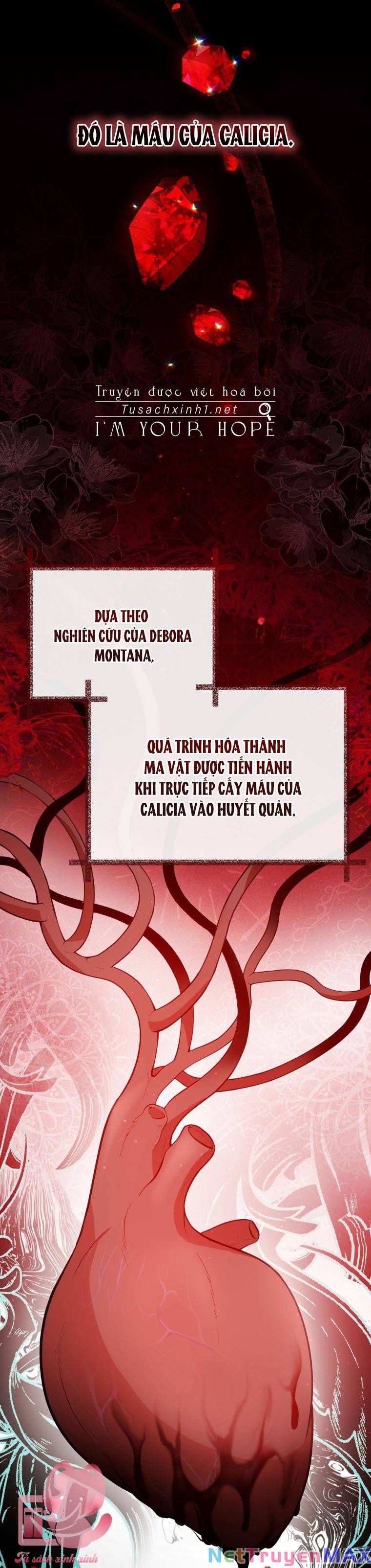 đọc truyện Quý Cô Không Thể Tiếp Cận Chương 93 ảnh 14 tại Thiên Thai Truyện