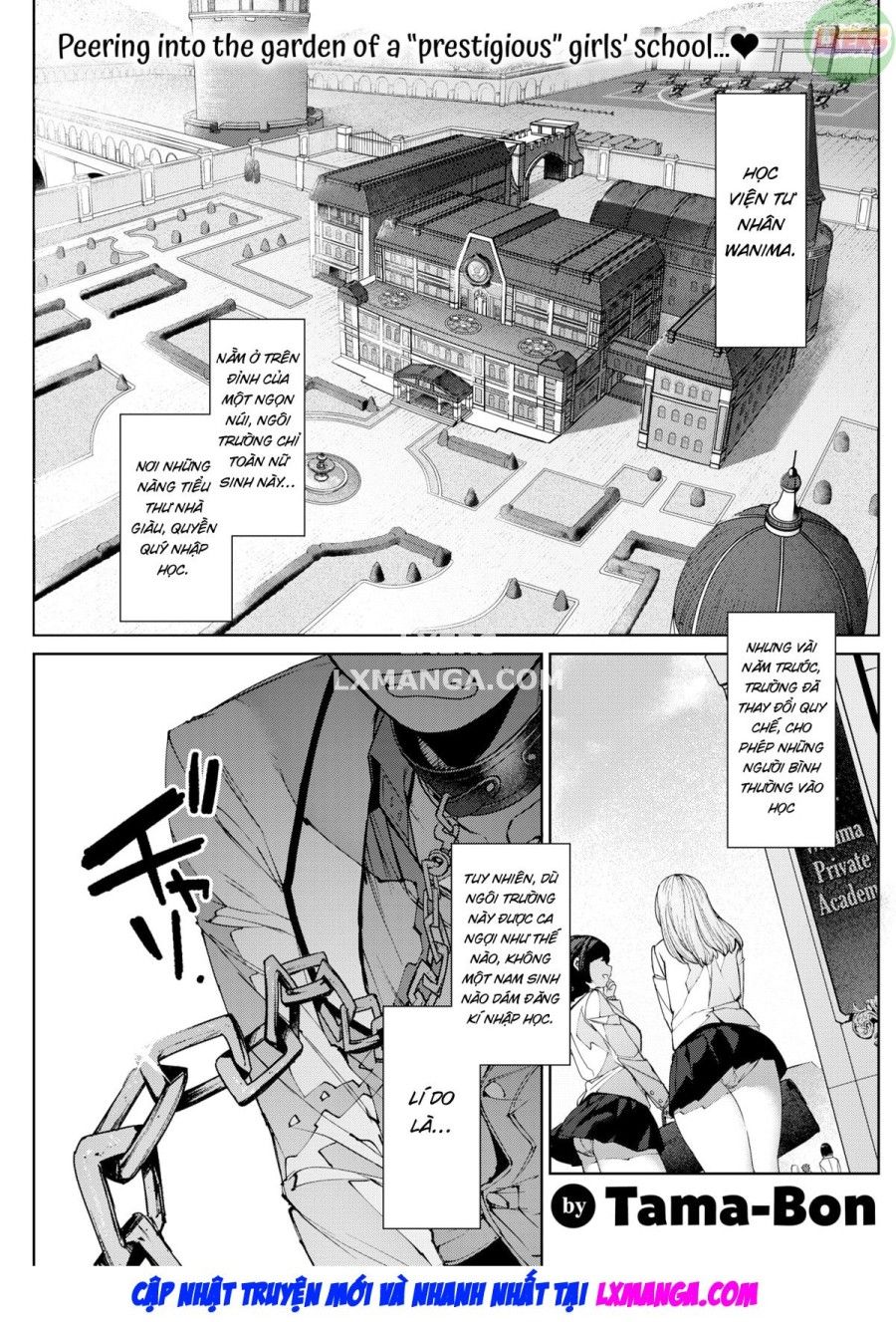 Quý Tộc Và Nô Lệ Oneshot page 4 - Giả Dược