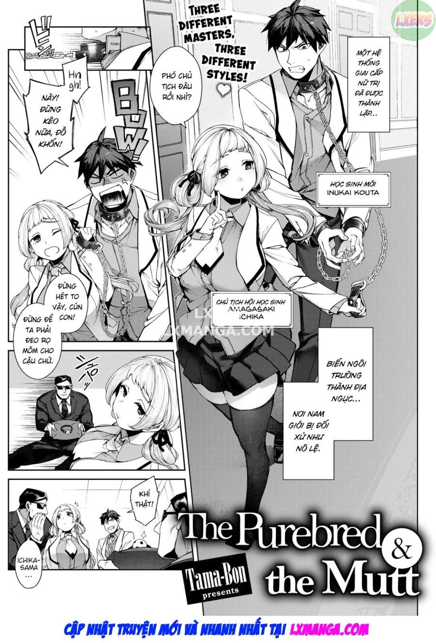 Quý Tộc Và Nô Lệ Oneshot page 5 - Giả Dược