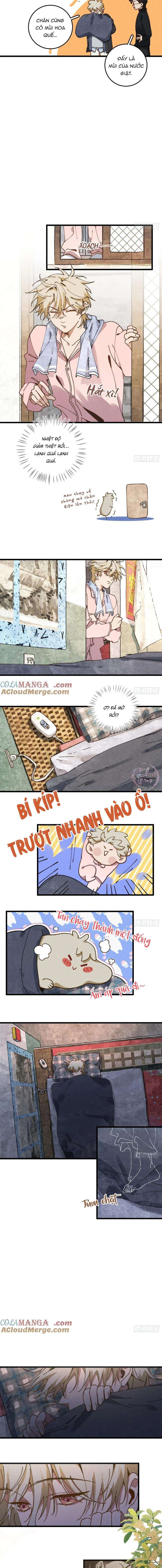 đọc truyện Ra Ruộng Ngô Với Anh Á, Còn Lâu! Chương 34 ảnh 4 tại Thiên Thai Truyện