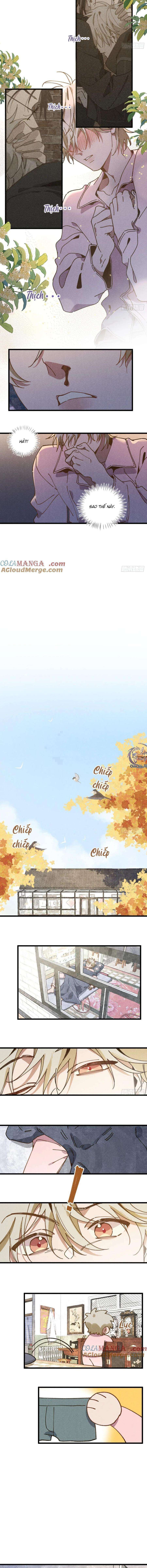 đọc truyện Ra Ruộng Ngô Với Anh Á, Còn Lâu! Chương 34 ảnh 5 tại Thiên Thai Truyện