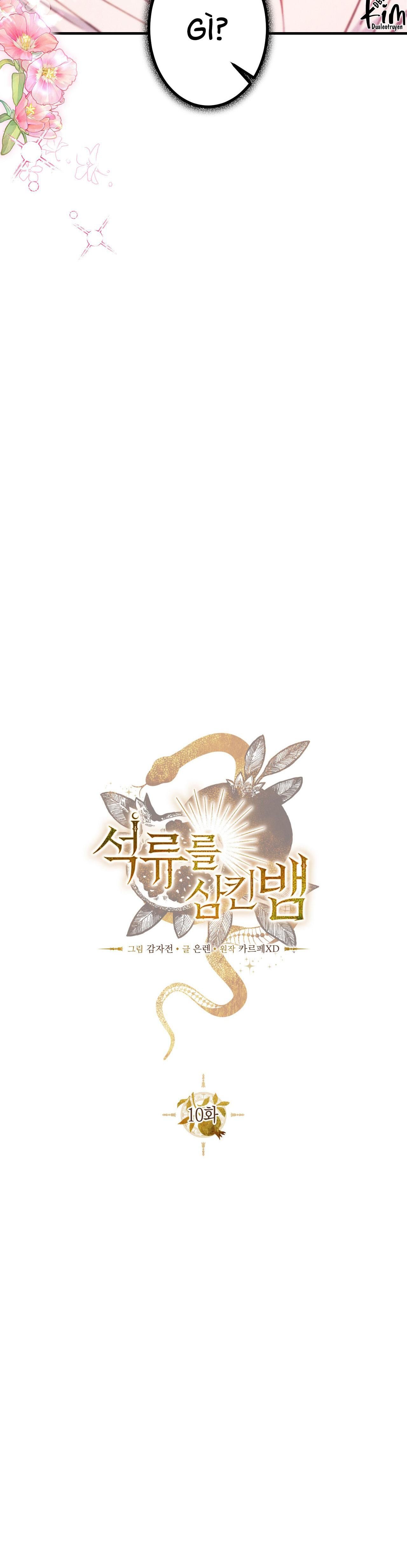 đọc truyện Rắn Nuốt Lựu Chương 10 ảnh 15 tại Thiên Thai Truyện