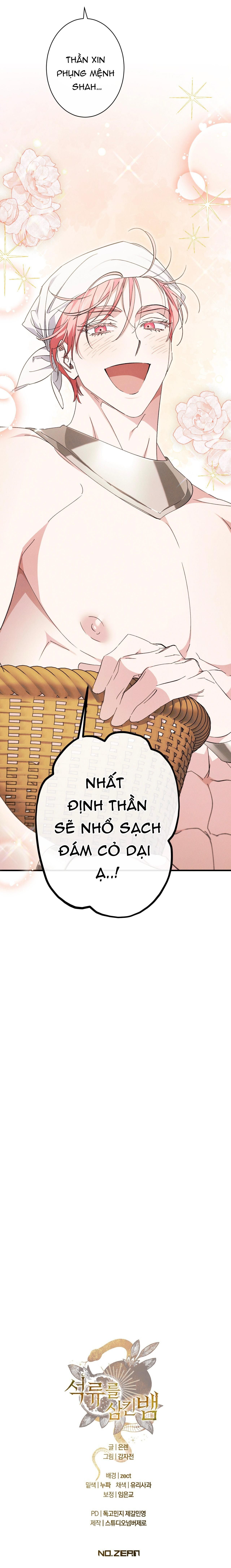 đọc truyện Rắn Nuốt Lựu Chương 15 ảnh 36 tại Thiên Thai Truyện