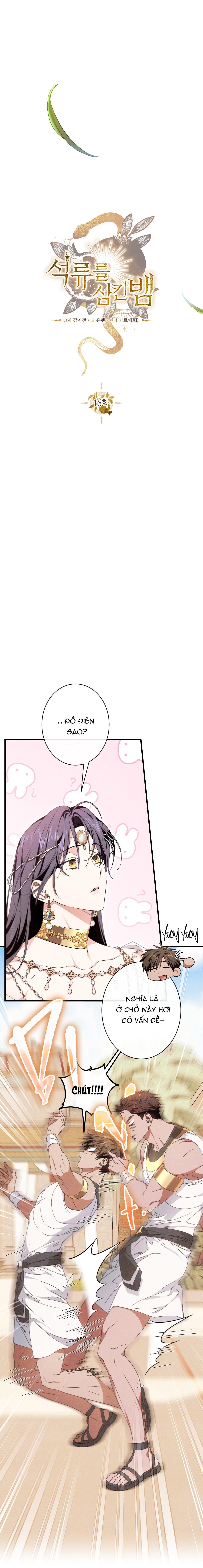 đọc truyện Rắn Nuốt Lựu Chương 16 ảnh 8 tại Thiên Thai Truyện