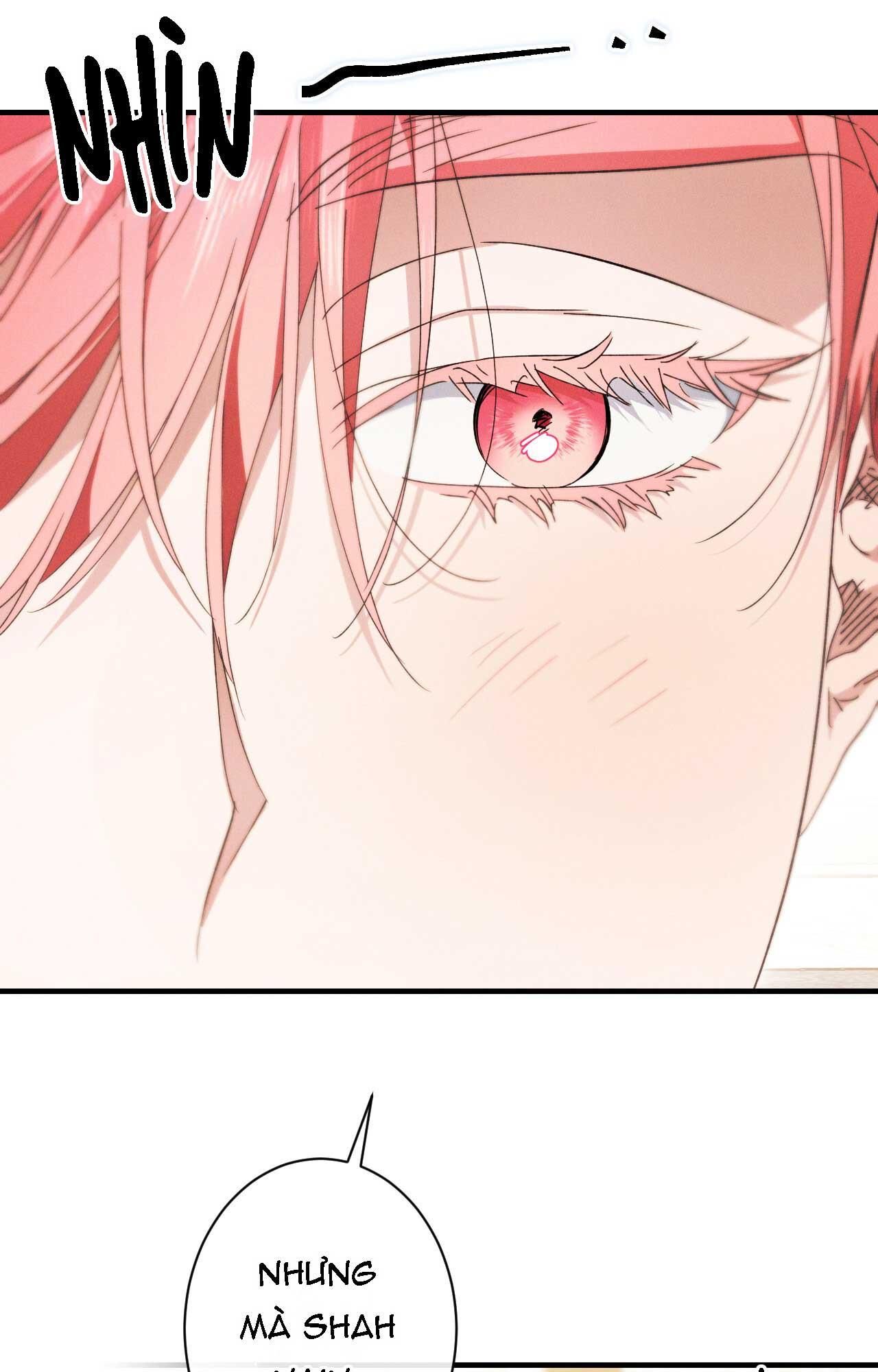 đọc truyện Rắn Nuốt Lựu Chương 17 ảnh 25 tại Thiên Thai Truyện