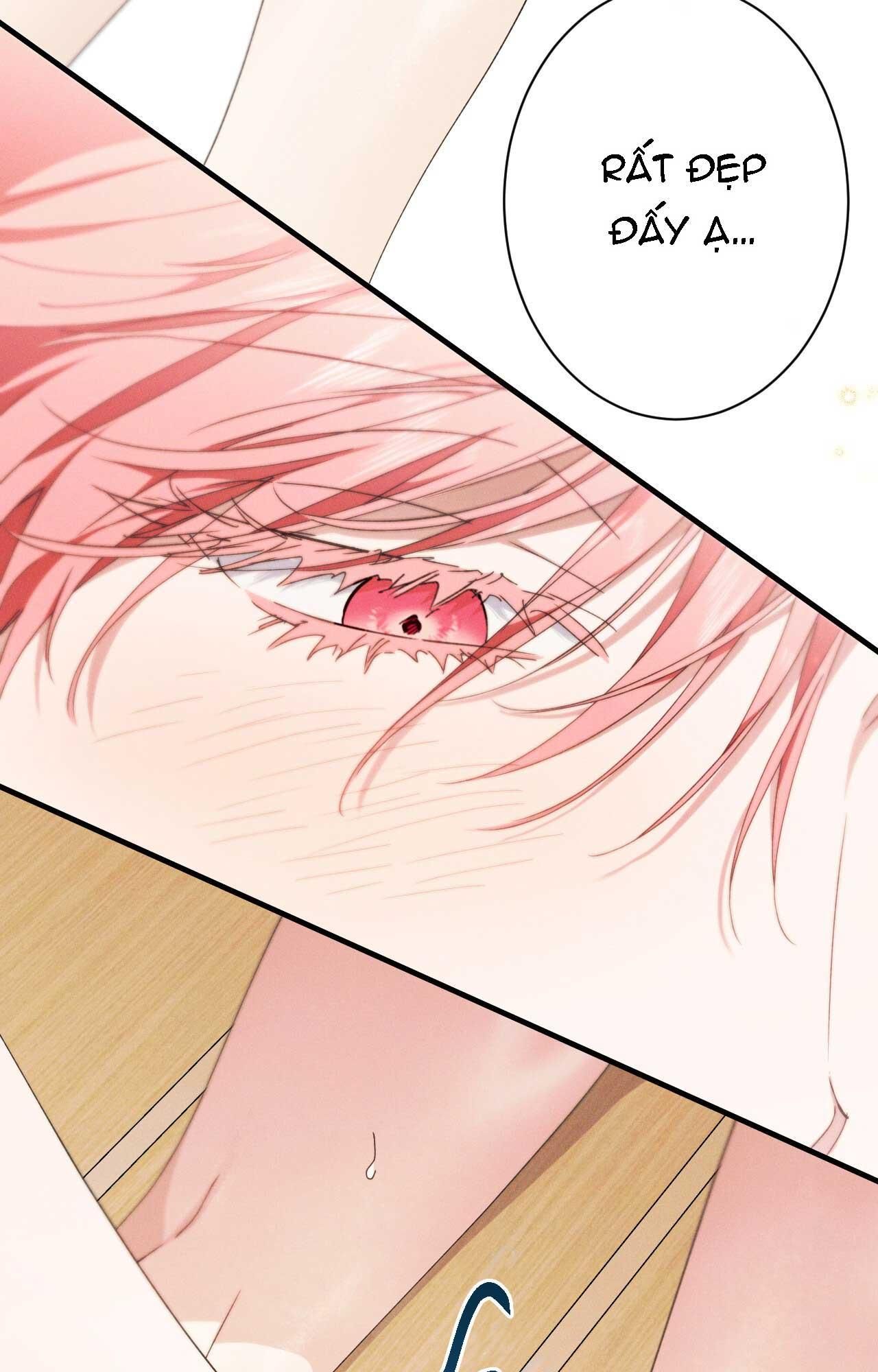 đọc truyện Rắn Nuốt Lựu Chương 17 ảnh 101 tại Thiên Thai Truyện