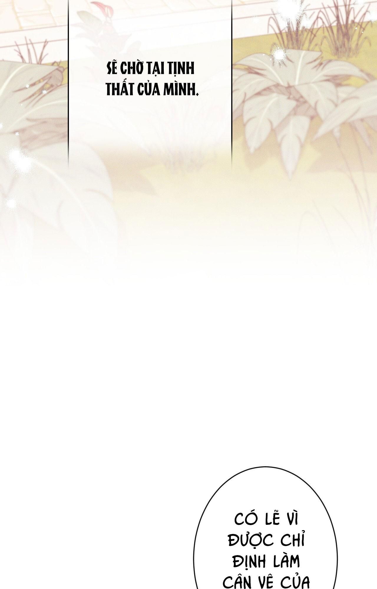 đọc truyện Rắn Nuốt Lựu Chương 22 ảnh 9 tại Thiên Thai Truyện