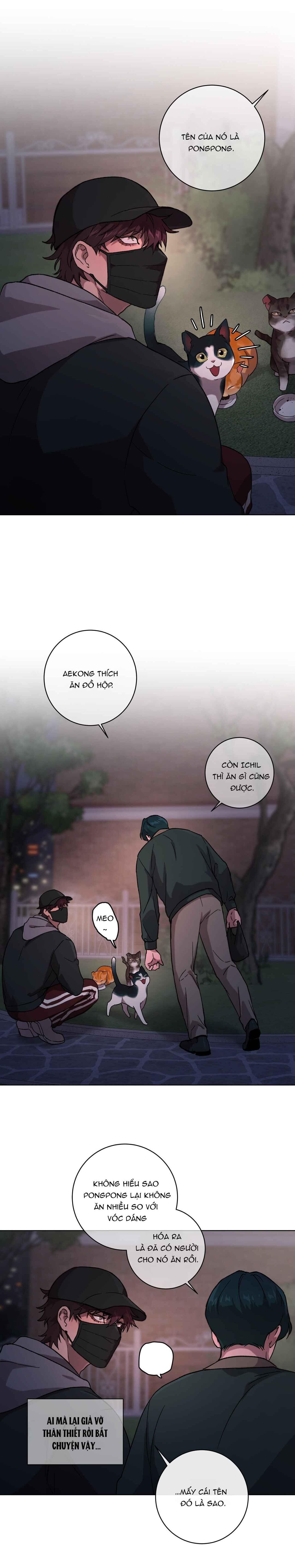 đọc truyện Release Your Persona Chương 1 ảnh 2 tại Giả Dược