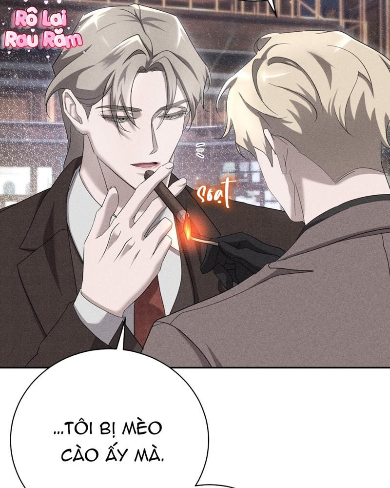 đọc truyện (rô Lai) Luật Lệ Omertà Chương 6 ảnh 5 tại Thiên Thai Truyện