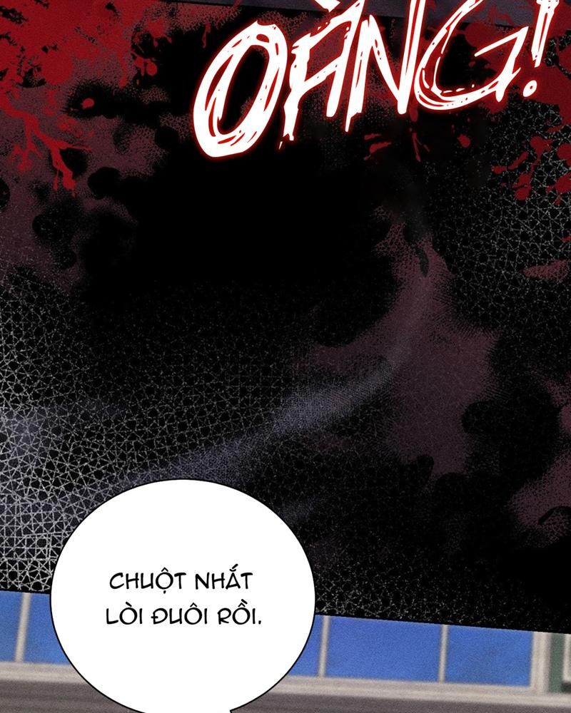 đọc truyện (rô Lai) Luật Lệ Omertà Chương 6 ảnh 67 tại Thiên Thai Truyện