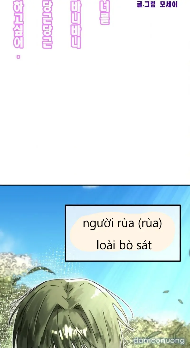 đọc truyện Rùa Không Thể Vượt Qua Thỏ Đang Ngủ! Chương 1 ảnh 12 tại Thiên Thai Truyện