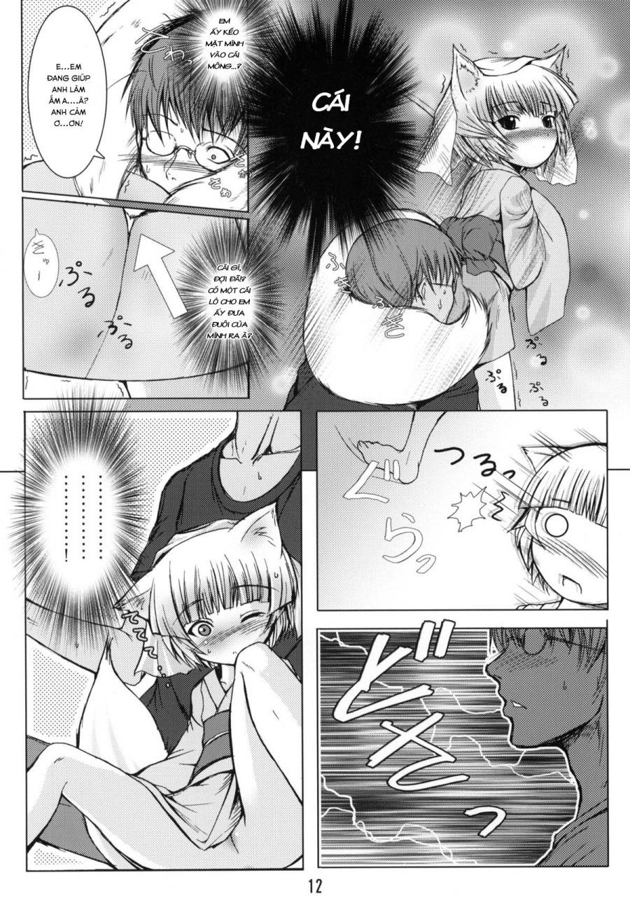 Rừng Cáo Trắng Chương 1 page 11 - Giả Dược