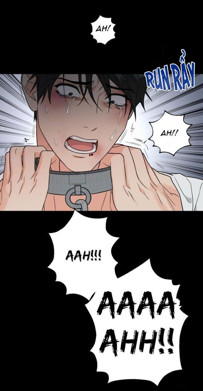 đọc truyện Sadistic Beauty Bl Sidestory Chương 3.1 ảnh 14 tại Thiên Thai Truyện