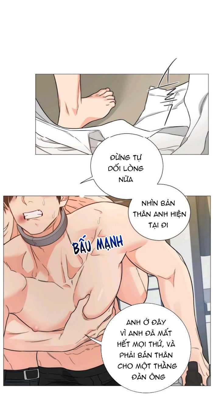 đọc truyện Sadistic Beauty Bl Sidestory Chương 5.1 ảnh 20 tại Thiên Thai Truyện