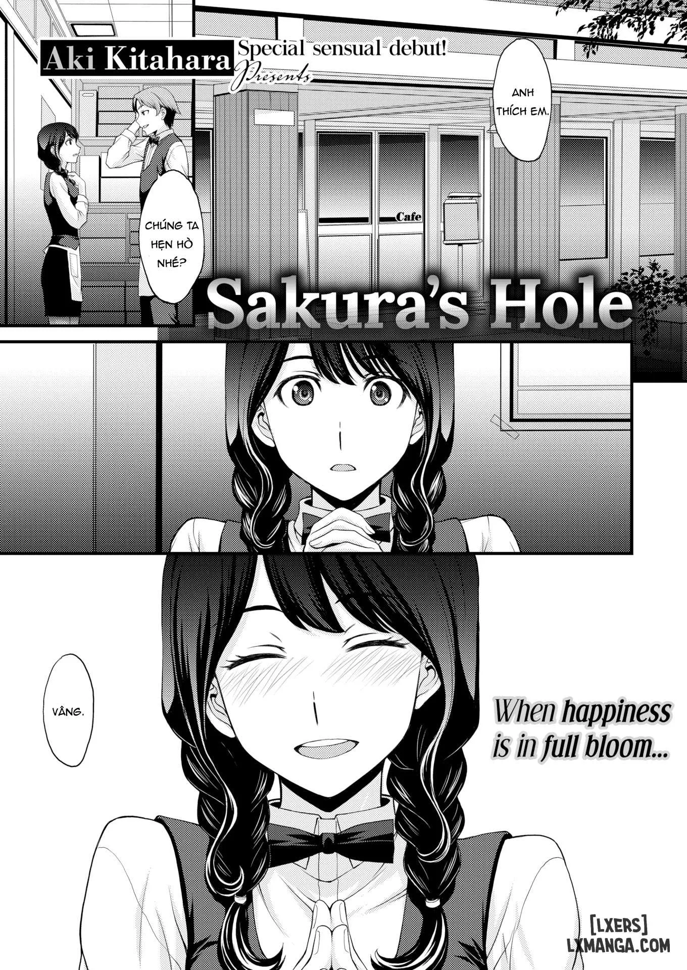 Sakura's Hole