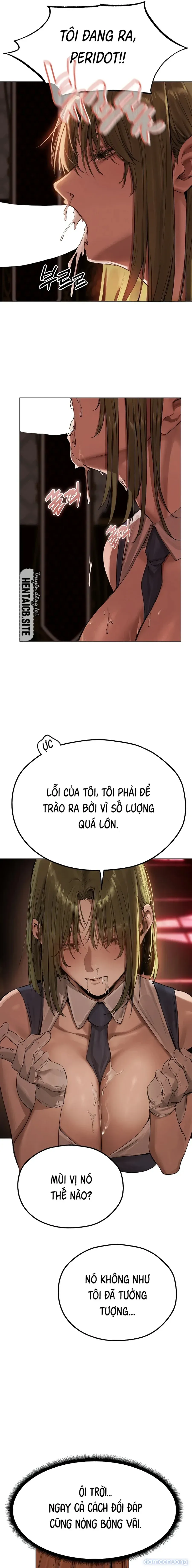 đọc truyện Săn Milf Ở Dị Giới Chương 78 ảnh 21 tại Thiên Thai Truyện