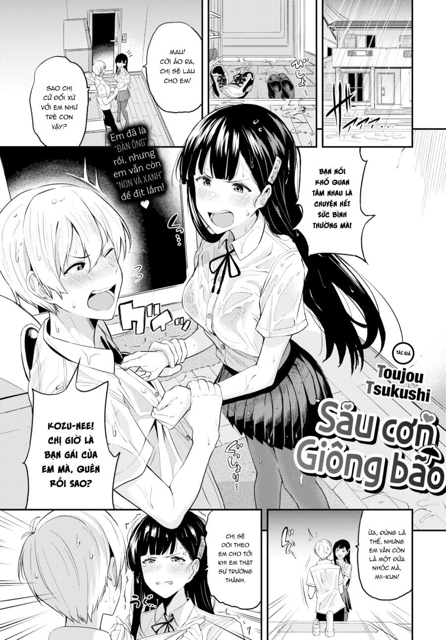 Sau Cơn Giông Bão Chương 0 page 3 - Giả Dược