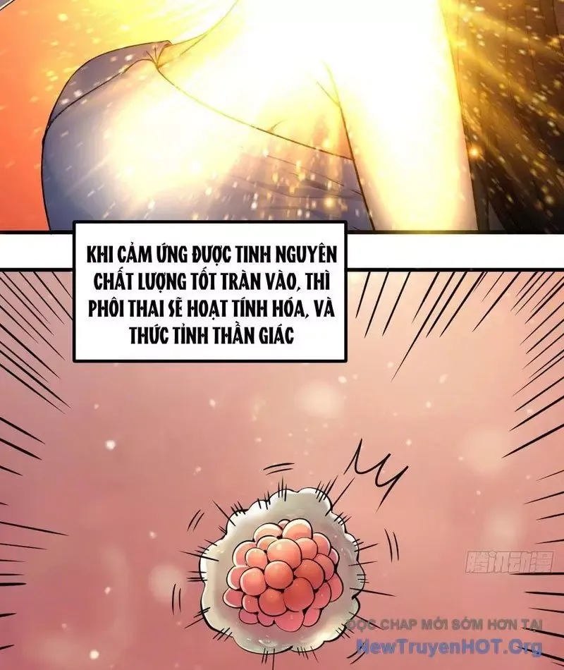 đọc truyện Sau Khi Đầu Thai, Ta Được Kẻ Thù Khắc Thành Vô Địch Chương 1 ảnh 53 tại Thiên Thai Truyện