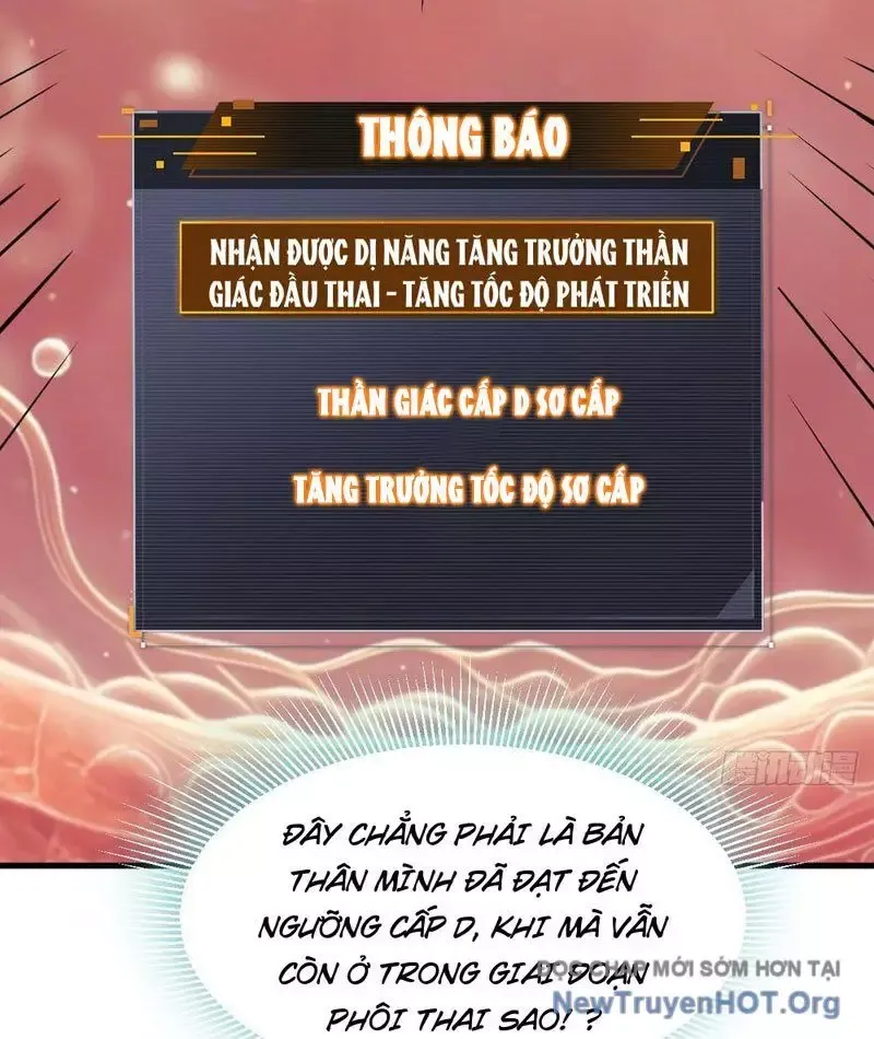 đọc truyện Sau Khi Đầu Thai, Ta Được Kẻ Thù Khắc Thành Vô Địch Chương 1 ảnh 54 tại Thiên Thai Truyện