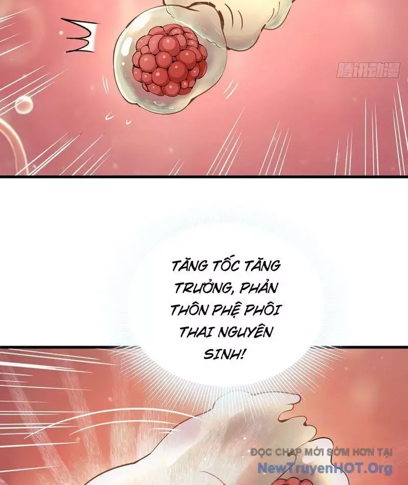 đọc truyện Sau Khi Đầu Thai, Ta Được Kẻ Thù Khắc Thành Vô Địch Chương 1 ảnh 60 tại Thiên Thai Truyện