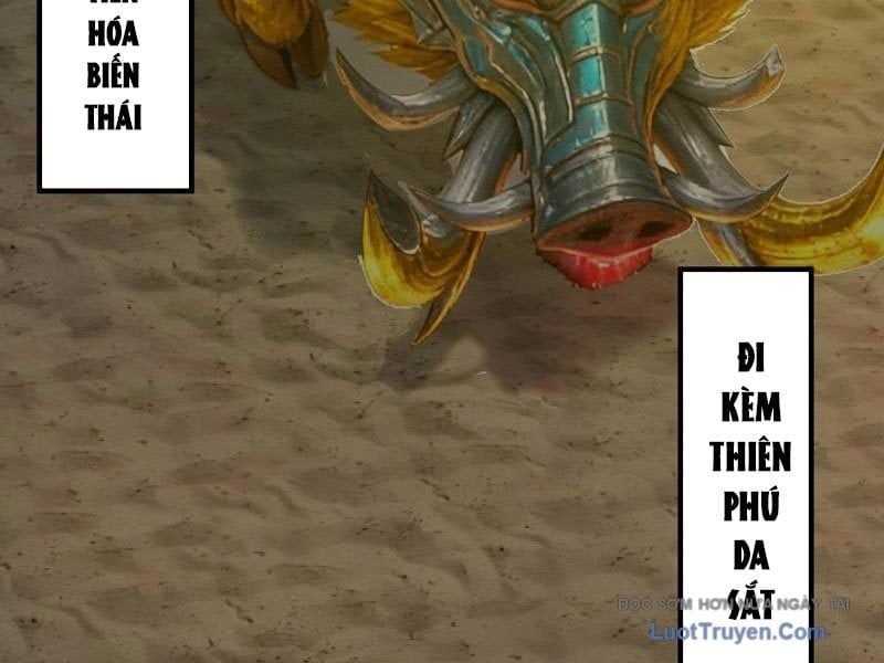 đọc truyện Sau Khi Đầu Thai, Ta Được Kẻ Thù Khắc Thành Vô Địch Chương 27 ảnh 35 tại Thiên Thai Truyện