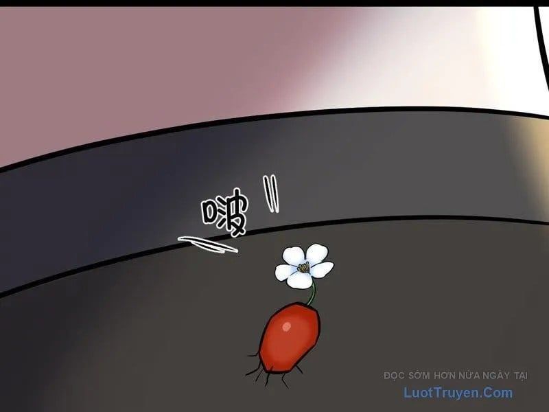 đọc truyện Sau Khi Đầu Thai, Ta Được Kẻ Thù Khắc Thành Vô Địch Chương 31 ảnh 33 tại Thiên Thai Truyện