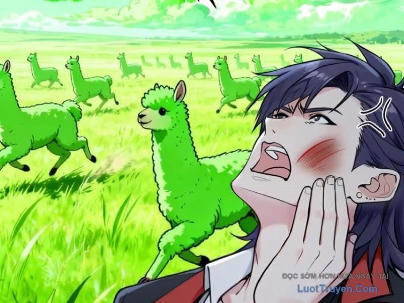 đọc truyện Sau Khi Đầu Thai, Ta Được Kẻ Thù Khắc Thành Vô Địch Chương 33 ảnh 92 tại Thiên Thai Truyện