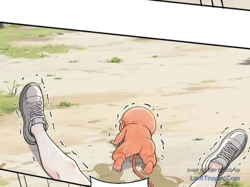 đọc truyện Sau Khi Đầu Thai, Ta Được Kẻ Thù Khắc Thành Vô Địch Chương 42 ảnh 21 tại Thiên Thai Truyện