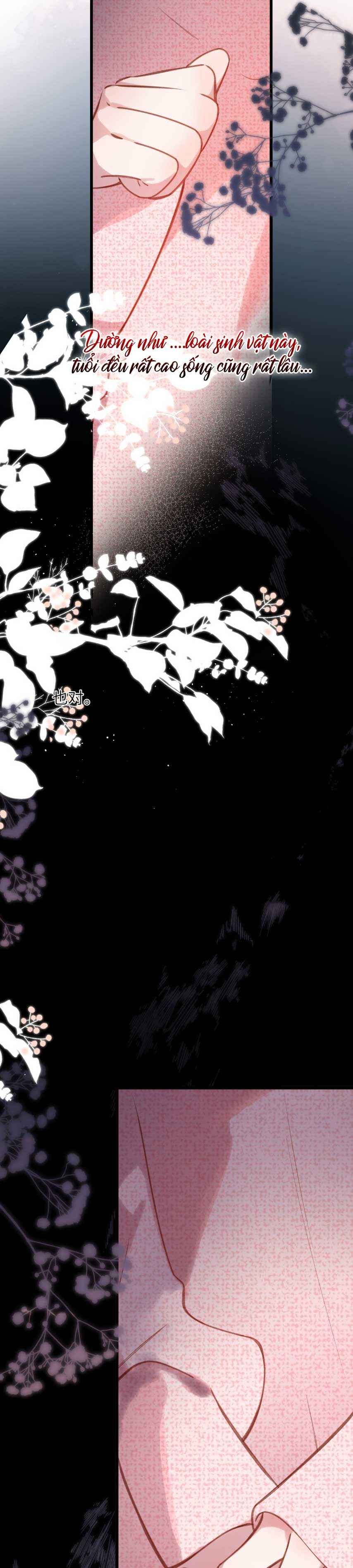 đọc truyện Say Đắm Chương 33 ảnh 5 tại Thiên Thai Truyện