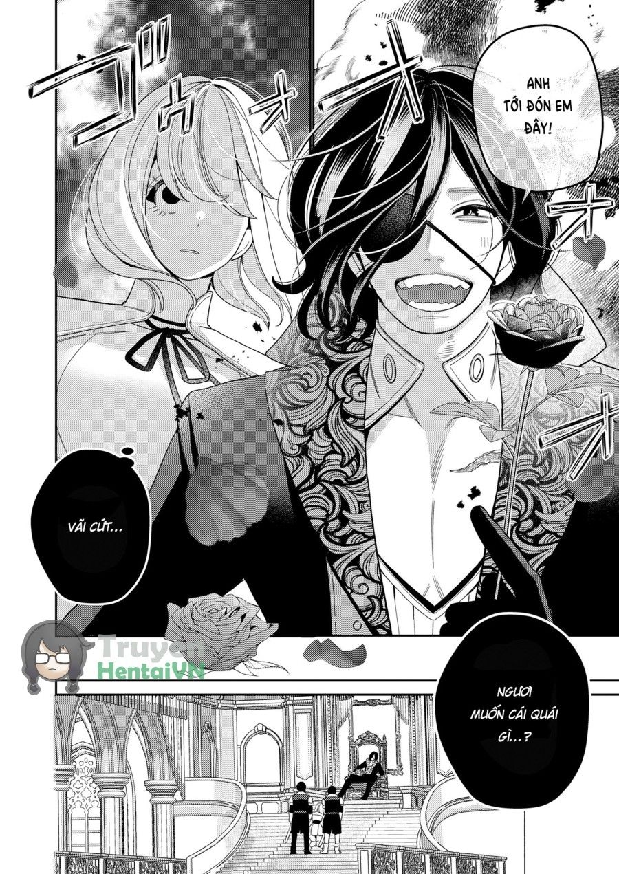 Seijo Wa Tekikoku No Ou Ni Otosareru Oneshot page 11 - Giả Dược