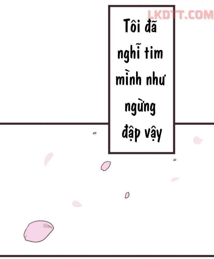 đọc truyện Senpai Là Con Trai Chương 24 ảnh 49 tại Thiên Thai Truyện