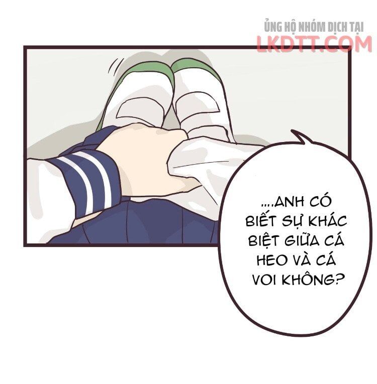 đọc truyện Senpai Là Con Trai Chương 28 ảnh 23 tại Thiên Thai Truyện