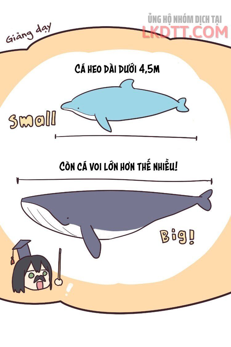 đọc truyện Senpai Là Con Trai Chương 28 ảnh 26 tại Thiên Thai Truyện