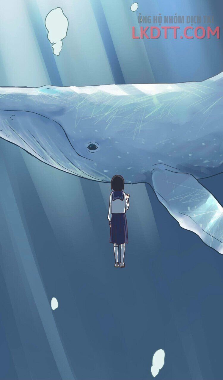 đọc truyện Senpai Là Con Trai Chương 28 ảnh 31 tại Thiên Thai Truyện