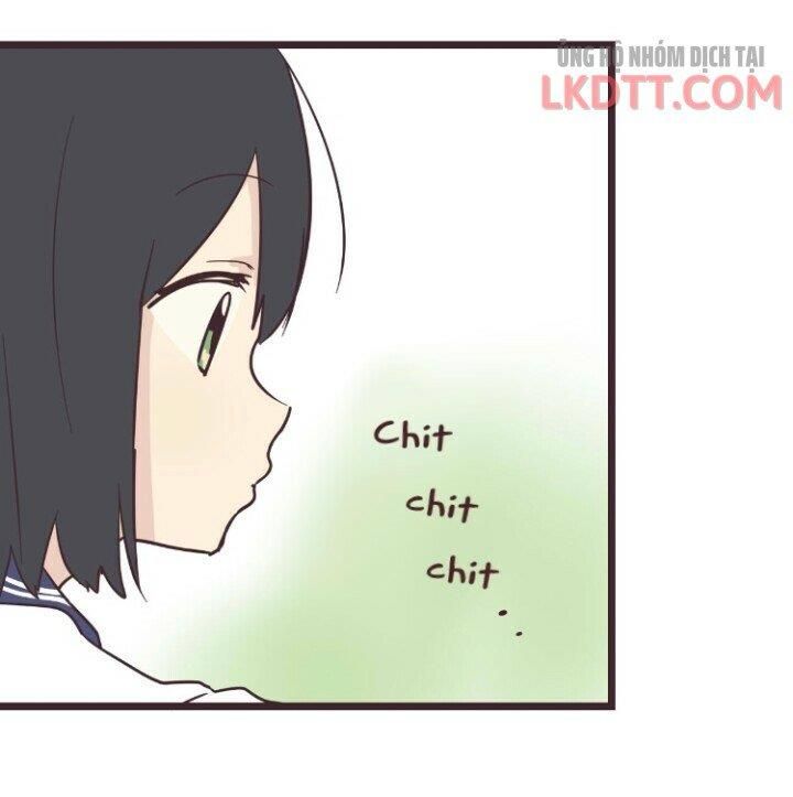 đọc truyện Senpai Là Con Trai Chương 31 ảnh 31 tại Thiên Thai Truyện