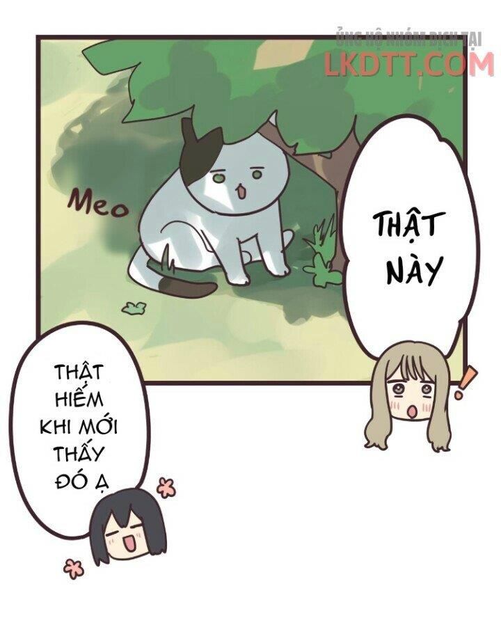 đọc truyện Senpai Là Con Trai Chương 31 ảnh 39 tại Thiên Thai Truyện