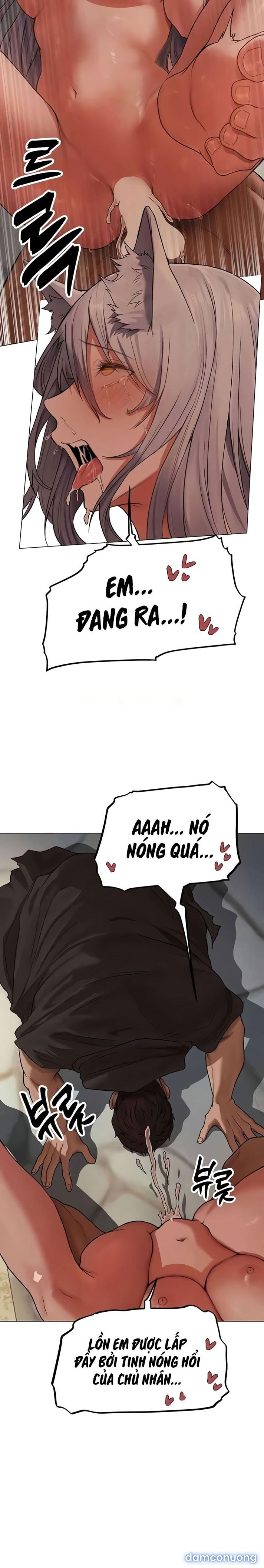 đọc truyện Sensei Thầy Chọn Ai? Chương 57 ảnh 18 tại Thiên Thai Truyện