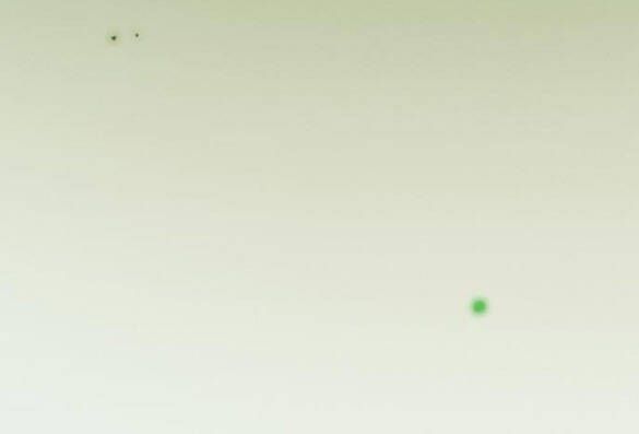 đọc truyện Serena Chương 24.1 ảnh 23 tại Giả Dược