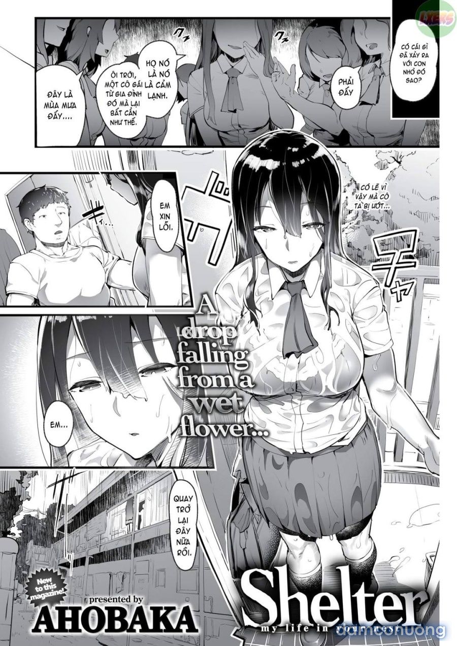 đọc truyện Shelter Oneshot ảnh 2 tại Thiên Thai Truyện