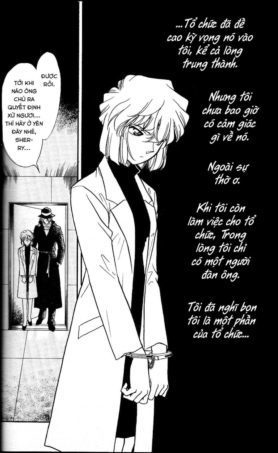 Sherry Và Tổ Chức Áo Đen Oneshot page 1 - Giả Dược