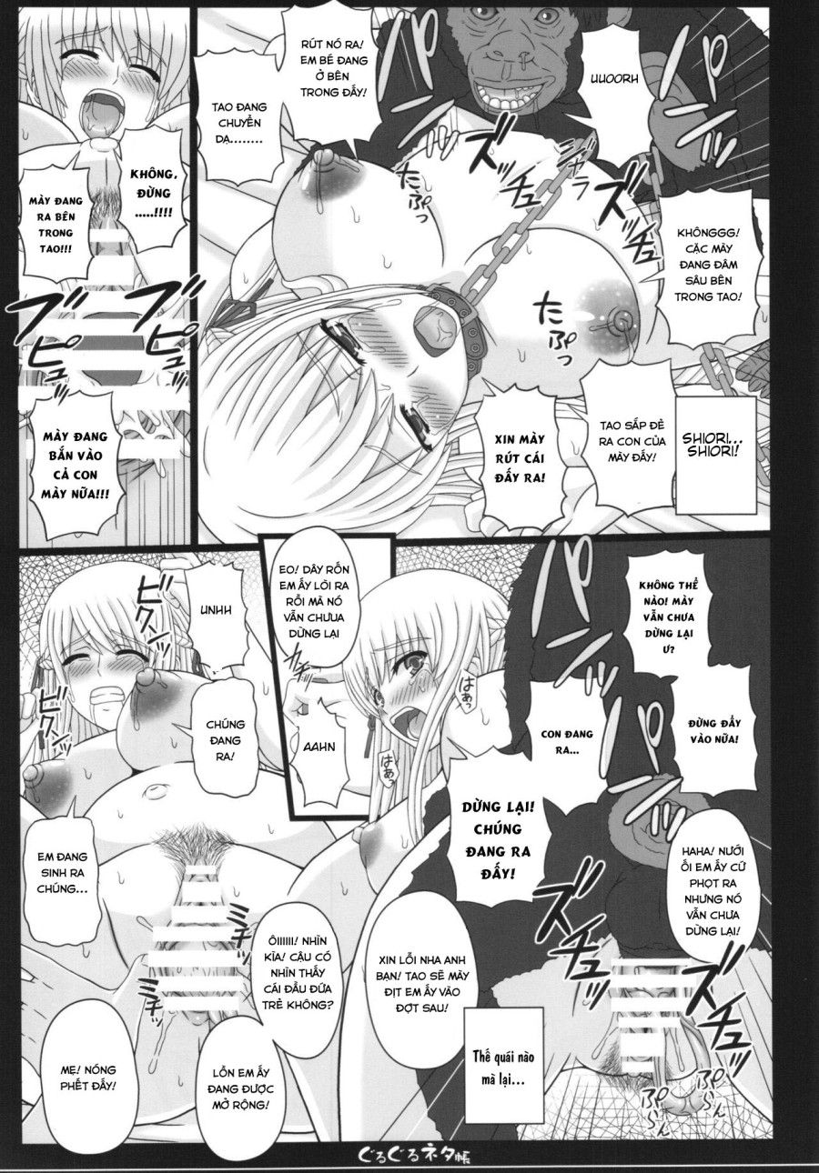 Shiawase No Katachi No Guruguru Netachou 83r + Paper Chương 0 page 28 - Giả Dược