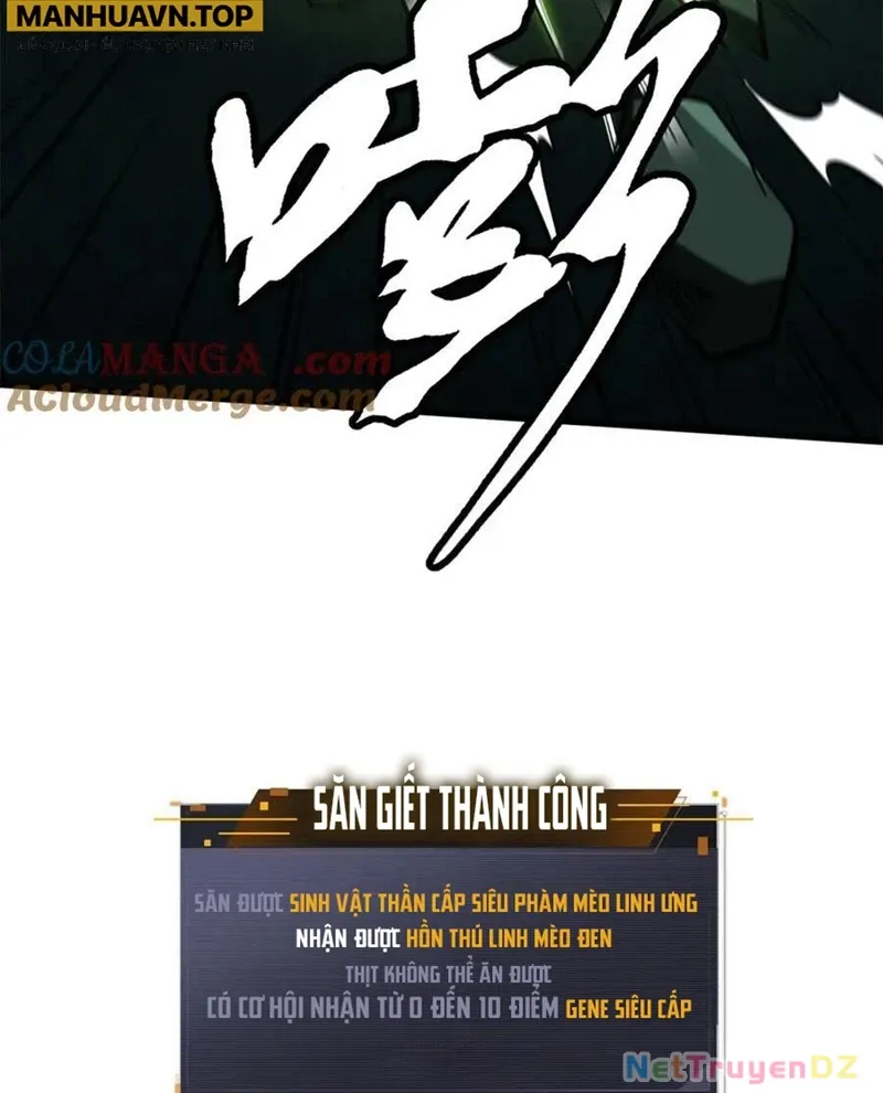 đọc truyện Siêu Cấp Thần Cơ Nhân Chương 315 ảnh 17 tại Thiên Thai Truyện