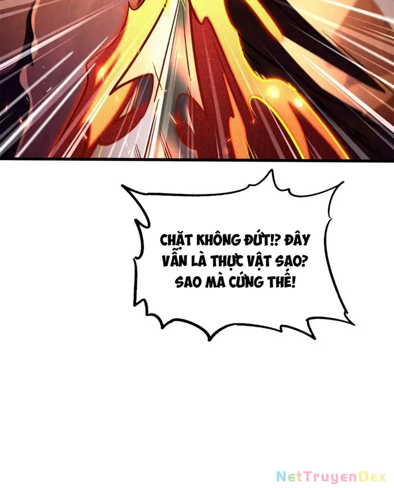 đọc truyện Siêu Cấp Thần Cơ Nhân Chương 318 ảnh 14 tại Thiên Thai Truyện