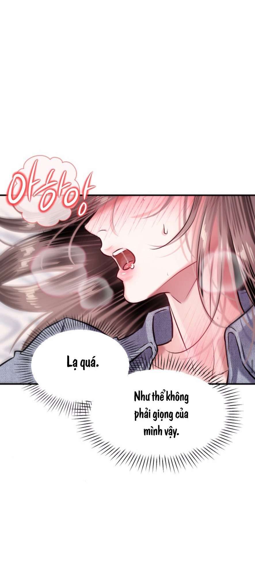 Sở Thích Bị Cai Trị Chương 13 page 34 - Giả Dược