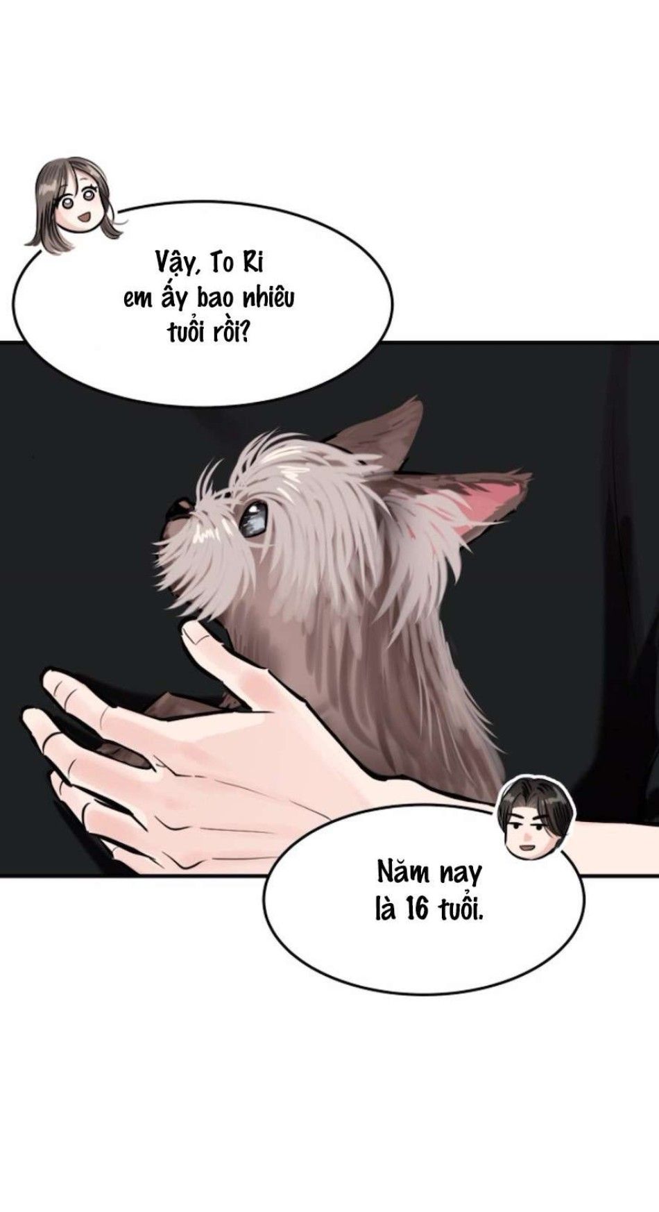 Sở Thích Bị Cai Trị Chương 16 page 53 - Giả Dược
